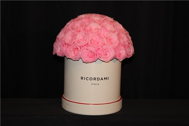 Small pink roses · white base