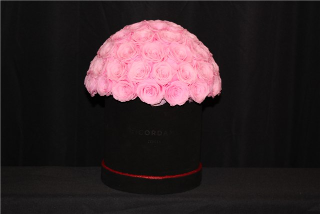 Small pink roses · black base
