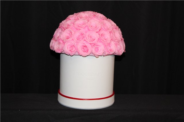 Small pink roses · white base
