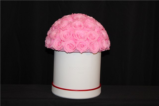 Small pink roses · white base