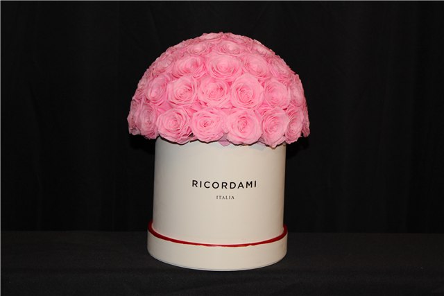 Small pink roses · white base