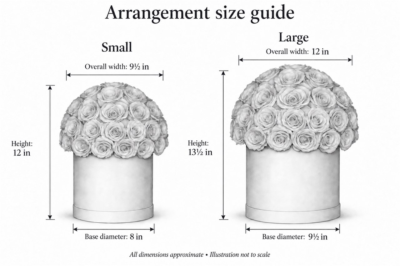 Small and Large rounded rose arrangements in cylindrical containers, with approximate Large dimensions: 12 inches overall width, 9½ inches base diameter and 13½ inches height; approximate Small dimensions: 9½ inches overall width, 8 inches base diameter and 12 inches height